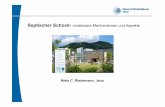 Septischer Schock- molekulare Mechanismen und Aspekte · Septischer Schock – N. Riedemann Abstract (Summary) Recently, evidence has been presented in favor of neutralizing the C5a