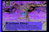 Karbon Biruawsassets.panda.org/downloads/wwf_report_karbonbiru...RINGKASAN 03 APAKAH KARBON BIRU? 03 LATAR BELAKANG 04 Ekosistem pesisir kita dalam masalah 04 Ekosistem pesisir mendukung