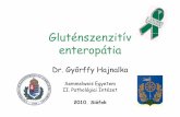 Dr. Győrffy Hajnalka - kmcongress.comkmcongress.com/eloadasok/mpt2010/gyorffy.pdf · Gluténszenzitív enteropátia Dr. Győrffy Hajnalka Semmelweis Egyetem II. Pathológiai Intézet