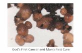 God’s First Cancer and First Cure - kemalozerkan.comkemalozerkan.com/wp-content/uploads/2015/06/trofoblastik... · Tanım •GTH (Mol Hidatidiform, K&P) •GTN gelişimi –Komplet