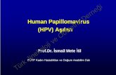 ACIP HPV Working Grouptjodizmir.org.tr/uploads/slaytlar/633669370839843750.pdf · 2016-10-19 · Kolorektal. 8,2: Diğer cilt. 5,9: Korpus Uteri. 5,7: Akciğer. 4,6: Serviks Uteri.