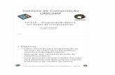 Instituto de Computação UNICAMPcelio/inf514-2010/docs/pdf/slides.pdfO módulo socket de Python - Exemplos A aplicação Cliente-Servidor serviço de eco Detalhamento das atividades