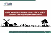 Survei Resistensi Antibiotik pada E. coli di Ternak ...civas.net/cms/assets/uploads/2017/07/5_Biological-Sampling.pdfSurvei Resistensi Antibiotik pada E. coli di Ternak, Manusia dan