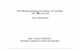 IFA Mikroskobisinin Direk ve İndirek “Ek” Katkıları Vaka ...Dr_Tutku_Tanyel).pdf · IFA Mikroskobisinin Direk ve İndirek “Ek” Katkıları Vaka Sunumu Dr. Tutku TANYEL