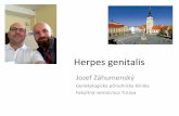 Herpes genitalis u žen herpes_infekcna...Herpes genitalis –náš súbor •14 žien s recidivujúcim HG •Všetkyužívali od 36. týždňaacyklovir 3x400 mg p.o. –Žiadna nemala