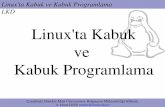 Linux'ta Kabuk ve Kabuk Programlama · Ayrıca kabuk, metakarakter kullanımına ve,