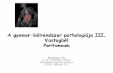 A gyomor-bélrendszer pathologiája III.semmelweis.hu/patologia2/files/2018/02/HU_madaras_GI3.pdf · 2018-02-14 · 1 A gyomor-bélrendszer pathologiájaIII. Vastagbél Peritoneum