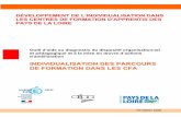 INDIVIDUALISATION DES PARCOURS DE FORMATION DANS … · Guide méthodologique – Individualisation dans les CFA : démarches et outils d’aide au diagnostic Février 2006 GIP FCIP