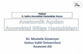Dr. Mustafa Güvençer Dokuz Eylül Üniversitesi Anatomi AD · Anatomi AD . 1 . TKRCD 4. Selim Anorektal Hastalıklar Kursu, İstanbul 26 Ekim 2013 Dr.Mustafa Güvençer 2 Sabuncuoğlu