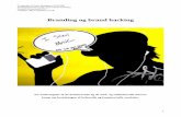 Branding og brand hacking - lup.lub.lu.selup.lub.lu.se/student-papers/record/1324509/file/1324510.pdfBranding og brand hacking ... Beejoir, brand hacking, branding, Louis Vuitton,