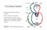 Histology of the Circulatory System - m-learning.zju.edu.cnm-learning.zju.edu.cn/G2S/eWebEditor/uploadfile/20181029092228747.pdf · Circulatory System • blood and lymphatic vascular