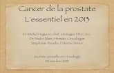 Cancer de la prostate L'essentiel en 2013journeeoncologie.com/pdf/atelier_3__cancer_de_la_prostate__lessentiel... · * Bokhorst LP, European Randomised Study of Screening for Prostate