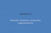 Lezione 2 - Docenti Unifedocente.unife.it/silvia.fuselli/dispense-corsi/BAG_Genomi.pdf · cellula dal rapporto tra i cromosomi X e gli autosomi. Nella femmina il rapporto è uguale