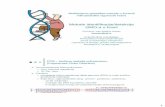 Metode identifikacije/detekcije GMO-a u hraniGMO+2013.pdf · Real-time PCR (RT-PCR) Quantitative PCR (Q-PCR ili qPCR) kvantitativna analiza –određivanje udjela GMO-a određivanje