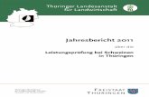 Thüringer Landesanstalt für Landwirtschaft - tll.de · pH1K pH-Wert im Kotelett 45 min p.m. ELP Eigenleistungsprüfung pH1S pH-Wert im Schinken 45 min p.m. F1 Hybridsau (DExDL)