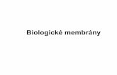 Biologické membrány - Univerzita Pavla Jozefa Šafárika ... · Model tekutej mozaiky V dôsledku uvedeného rozmiestnenia proteínov sa membrána stáva asymetrickou. Membrána