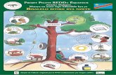 oo WWF ÉQUO RESEP& - projetequateur.orgprojetequateur.org/wp-content/uploads/2016/07/WHRC_CBFF_Tree-Benefits-Poster... · oo WWF ÉQUO RESEP& Title: CBFF Poster - 2014 copy-Outlines