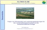 GLOWA-ELBE - pik-potsdam.de · Gesamtelbe: Szenarienfolgen für den Wasserhaushalt und die Erträge GLOWA-ELBE Abschlusskonferenz 15./16. März 2004 in Potsdam Gesamtelbe Folgen von