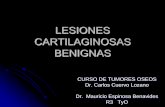 LESIONES CARTILAGINOSAS BENIGNAS - medicina.uanl.mx · El condrosarcoma es muy raro en niños, manos, periostico. Encondroma Displasia fibrosa