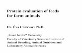 Protein evaluation of feeds for farm animalsalivaizgaripoglu.com/wp-content/uploads/2015/03/Protein-evaluation-of-feeds-for-farm... · - Enzim (metabolik aktivite), - Bağııklık