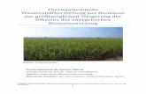 Thermochemische Wasserstoffherstellung aus Biomasse zur ...biowasserstoff-magazin.richey-web.de/pdf/Thermochemische... · 2 1. Abstract Die Arbeit „Thermochemische Wasserstoffherstellung