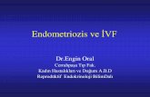 Endometriozis ve İVF - utcd.org.tr · • Hangi protokol • Ne zaman IVF. Diğer faktörler • Yaş ve over rezervi • İnfertilite süresi • Erkek faktörü • Tubal faktör