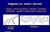 Poglavlje 21: Amini i derivatihelix.chem.bg.ac.rs/~vmaslak/Organska_hemija_2-202B1/Predavanja... · Poglavlje 21: Amini i derivati Lekovi, amino kiseline, peptidi, proteini, alkaloidi,