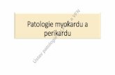 Patologie myokardu a perikardu - pau.lf1.cuni.cz · •postihuje LK - apikálníakineze •Napodobuje akutní koronární syndrom •absence obstruktivníhokoronárních onemocnění