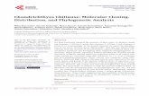 Chondrichthyes Chitinase: Molecular Cloning, Distribution ... · Chondrichthyes, or the stomach of Latimeria chalmnae, classified as Sarcoptery-gii [12]. These findings suggested