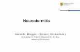 Heinrich - Brügger – Schule ( Klinikschule ) · 13.03.2004 Neurodermitis 13 Pathophysiologie III Barrierestörung –Erleichterte Penetration von Allergenen und Irritanzien durch