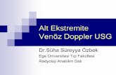 Alt Ekstremite Venöz Doppler USG - turkrad.org.tr · VY ‘de Doppler USG İlgili venöz yapıların tümü hk bilgi sağlamalı (“mapping”) DVY nedenlerini ortaya koyabilmeli