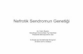 Nefrotik Sendromun Genetiği - Çocuk Nefroloji … Sendromun Genetiği Dr. Fatih Özaltın Hacettepe Üniversitesi Tıp Fakültesi Pediatrik Nefroloji Bilim Dalı 8.Ulusal Çocuk