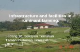 Infrastructure and facilities in ruminant farming.vodppl.upm.edu.my/uploads/docs/L7-Infrastruktur and fasiliti in ruminants.pdf · Infrastructure and facilities in ruminant farming.