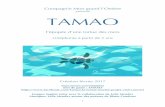 Compagnie Mon grand l’Ombre TAMAO · TAMAO, extrait de storyboard Le requin affamé, gueule ouverte, talonne une raie royale. Dans l’autre sens et non loin de là, c’est Tamao,