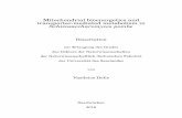 Mitochondrial bioenergetics and transporter-mediated ... · Mitochondrial bioenergetics and transporter-mediated metabolism in ... would additionally like to thank Prof. Volkhard