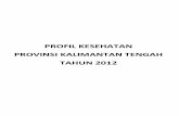 PROFIL KESEHATAN PROVINSI KALIMANTAN TENGAH … filei Profil Kesehatan Kalimantan Tengah 2009 i Profil Kesehatan Prov. Kalteng 2010 i KATA PENGANTAR Puji syukur kepada Tuhan Yang Maha