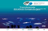 Trendwende - waza.org · Die Strategie ... (Oreo-chromis niloticus niloticus), der sogenannte „Frankenstein Fisch“, der gezüchtet wurde, um in einer Vielzahl von Umgebungen zu