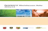 ÖKOPROFIT Rheinhessen-Nahe 2012/13¼ro_des... · Vom ÖKOPROFIT zu EMAS/ISO 14001 Einsteigerprogramm Die Auftaktveranstaltung der Einsteigerrunde von ÖKOPROFIT Rheinhessen-Nahe