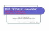Masif Kan Transfüzyonu Otolog Kan Transfüzyonu · 2013-02-21 · Koagulopati Dilüsyon, _ok, D0C,hipotermi Dokulara O2 sunumunun azalmas1 2,3-DPG düzeyinde azalma, O2 disosiasyon