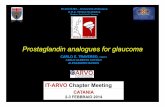 Prostaglandinanaloguesfor glaucoma - medeacom.org - Febbraio/0203 - ITARVO/Slides... · Prostaglandinanaloguesfor glaucoma CATANIA 2-3 FEBBRAIO 2014 IT-ARVO Chapter Meeting CARLO