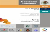 Guía de Referencia Rápida Detección y Tratamiento ...isssteags.gob.mx/guias_praticas_medicas/gpc/docs/IMSS-436-11-RR.pdf · Sepsis puerperal, variedades clínicas de la deciduomiometritis