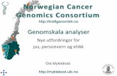 Norwegian Cancer Genomics Consortium · 2018-11-12 · Germline varia+on and sarcoma risk DOI: 10.1016/S1470-2045(16)30147-4. Kreftgenomikk.no Determining deleterious variants in