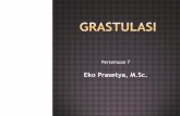 Eko Prasetya, M.Sc. - jempols.files.wordpress.com · Proses Grastulasi Macam-macam gerakan ... Membungkus embrio dengan prospektif ektoderm Menempatkan mesoderm di antara ... blastula