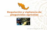 Regulación y vigilancia de plaguicidas agrícolas - gob.mx · técnico, plaguicida o biocida técnico concentrado y el cual servirá como patrón de referencia para determinar si