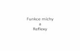 Funkce míchy a Reflexy - is.muni.cz · • fylogeneticky nejstarší • funkce • „koridor“ pro přenos informací mezi mozkem a orgány • Nervové centrum pro zpracování