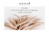 THE FAITHFULNESS OF GOD - rocksydney.org.au · kita sebagai istri yang terus menerus setia kepada-Nya, yaitu dengan cara Dia akan membukakan mata rohani kita sehingga kita bisa mengenal