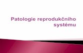 Patologie genitálního systému - Ústav klinické a ...ustavpatologie.upol.cz/_data/section-1/298.pdf · oligomenorea, infertilita, hirsutismus, obezita ovariální androgeny, LH,