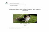 Gastrointestinala problem hos den vuxna hunden · 2015-10-07 · Esofagus – matstrupe . Galla ... gastroenteritis, , colitis,enteritis gastritis, inflammatory bowel disease, chronic,