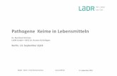 Dr. Burkhard Schütze LADR GmbH • MVZ Dr. Kramer & Kollegen · Clostridium botulinum Clostridium perfringens Cronobacterspp. (sakazakii) EHEC Listeria monocytogenes Salmonella spp.