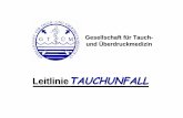 Präsentation zur Leitlinie Tauchunfall - Stand 2011 für ...gtuem.org/wcms/ftp//g/gtuem.org/uploads/praesentation_zur_leitlinie... · Entwicklung LeitlinieTAUCHUNFALL Dr. Wilhelm